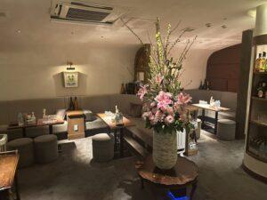 葵木 （アオキ）