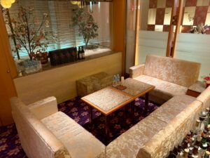 ひな菊 （ヒナギク）