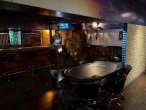 紫電 （シデン）